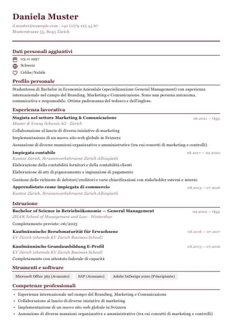 CV · Compact Elegant