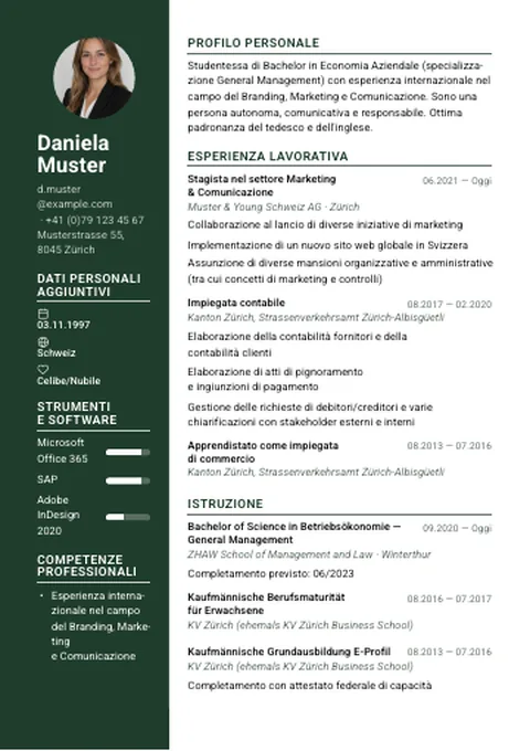 CV · Modern Sidebar
